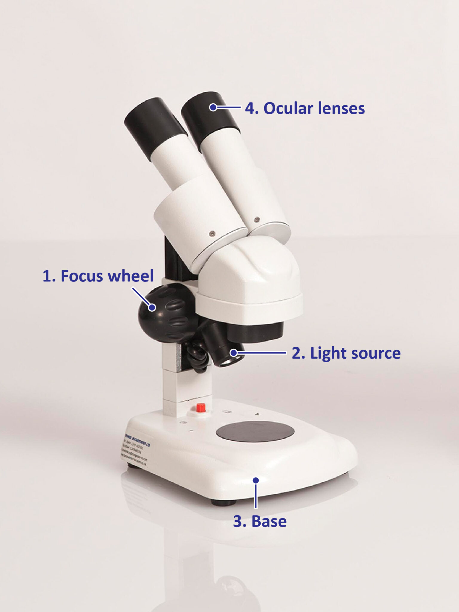 How to use a stereomicroscope