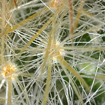 1st Prize The first prize winning image from Birmingham in 2024