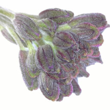 1st prize Eyrescroft Primary School