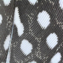 2nd prize Baliol Primary School