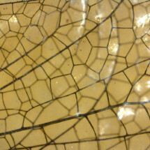 3rd prize Putnoe Primary School