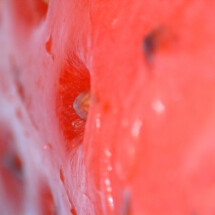 Commended Strawberry