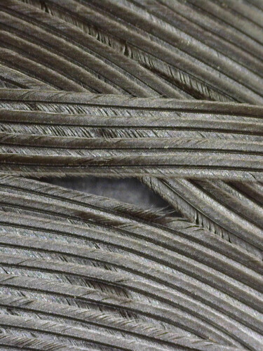 image of a feather seen down a microscope